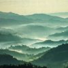 Calming Scenery Nature Roller Blinds for Windows