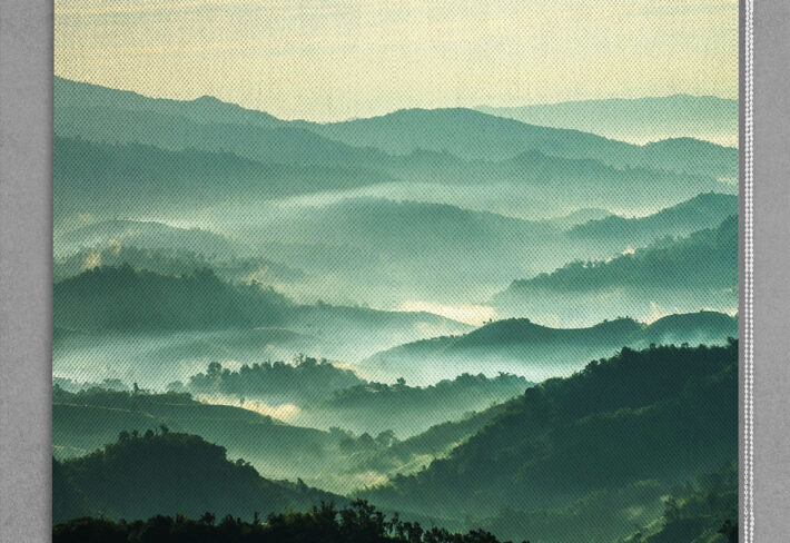 Calming Scenery Nature Roller Blinds for...